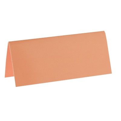 Marque place corail rectangle, en carton.