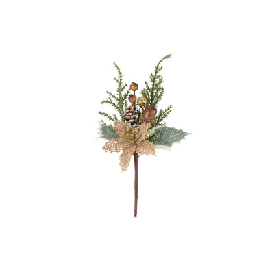 Branche fleur de Poinsettia