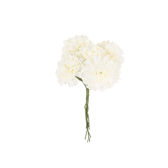 6 Hortensias Ivoire et Vert sur Tige