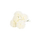 6 Hortensias Ivoire et Vert sur Tige