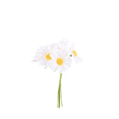 Marguerites sur Tige Blanc et Jaune