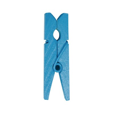 Mini pinces turquoise en bois